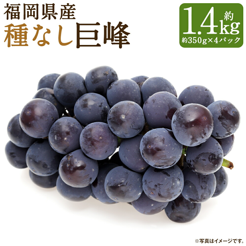 【ふるさと納税】福岡県産 種なし巨峰 合計約1.4kg 約350g×4パック 巨峰 種なし 産地直送 ぶどう 筑後市 果物 フルーツ 九州産 冷蔵 送料無料 【2025年6月下旬～8月上旬に順次発送予定】