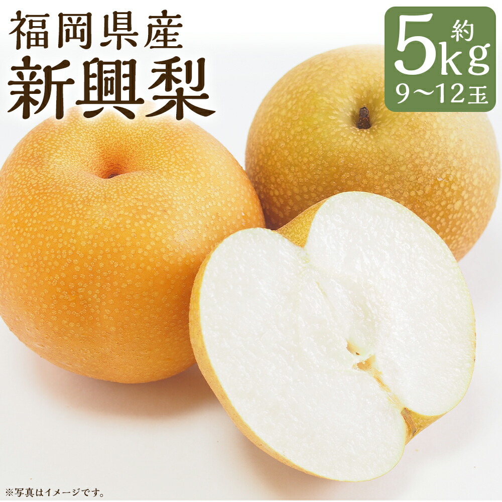 【ふるさと納税】新興梨 約5kg 9～12玉 梨 新興 筑後市産 福岡県産 九州 和梨 フルーツ 果物 送料無料 【2025年9月下旬～10月下旬に順次発送予定】