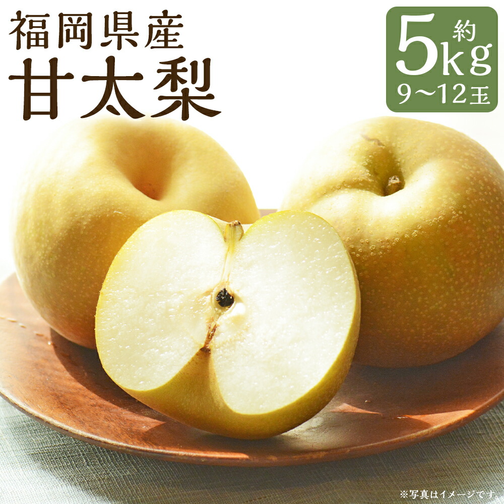 【ふるさと納税】甘太梨 約5kg 9～12玉 梨 筑後市産 福岡県産 九州 和梨 フルーツ 果物 送料無料 【2025年9月上旬～9月下旬に順次発送予定】
