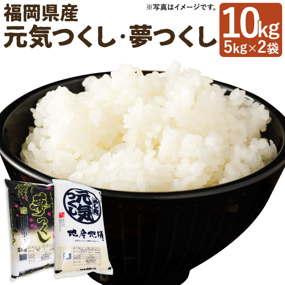 【ふるさと納税】令和7年産 元気つくし・夢つくしセット 合計10kg 5kg&times;2袋 食べ比べ セット 2種類 お米 米 精米 白米 福岡県産 九州産 送料無料｜福岡県筑後市 19,710円
