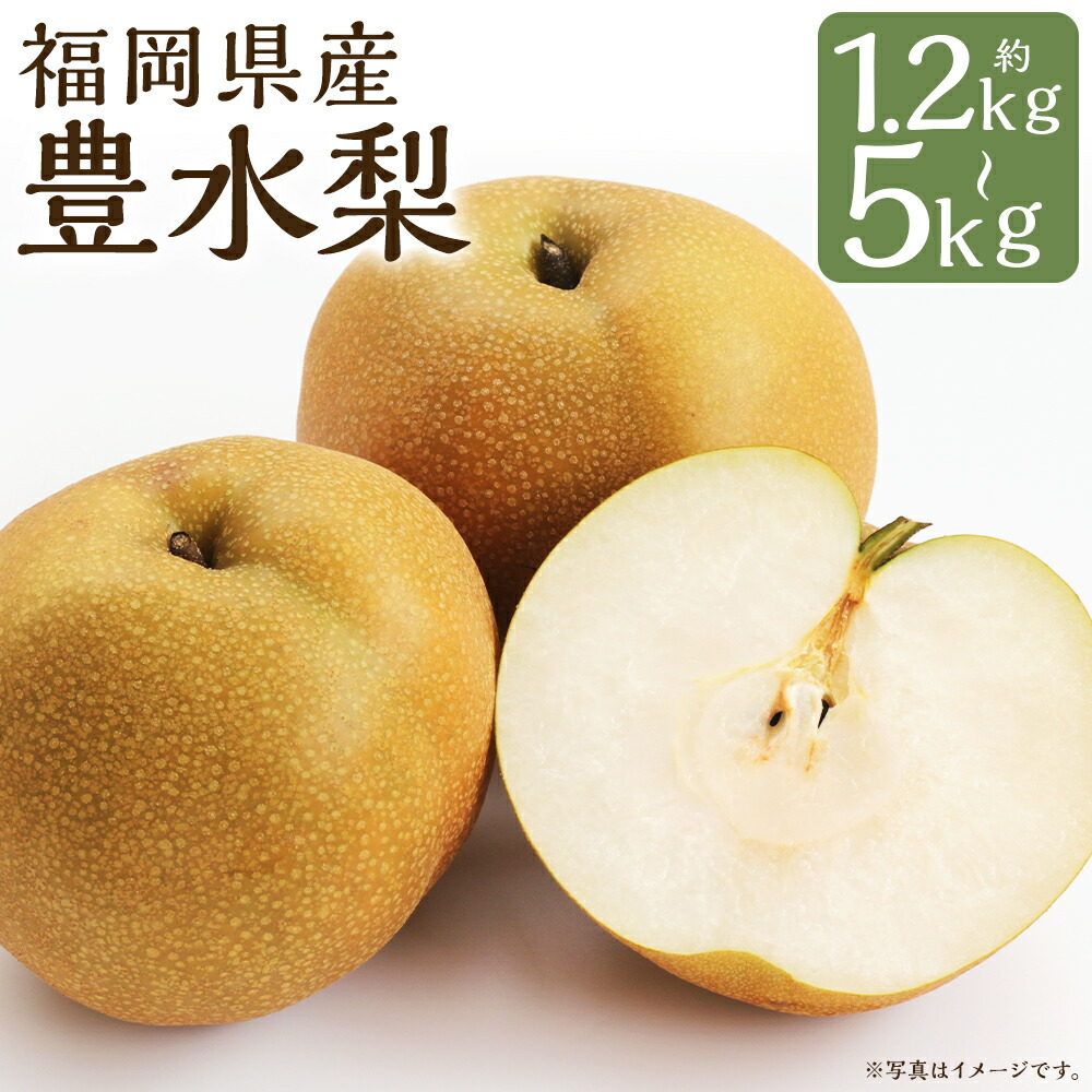 豊水梨 約5kgの返礼品写真