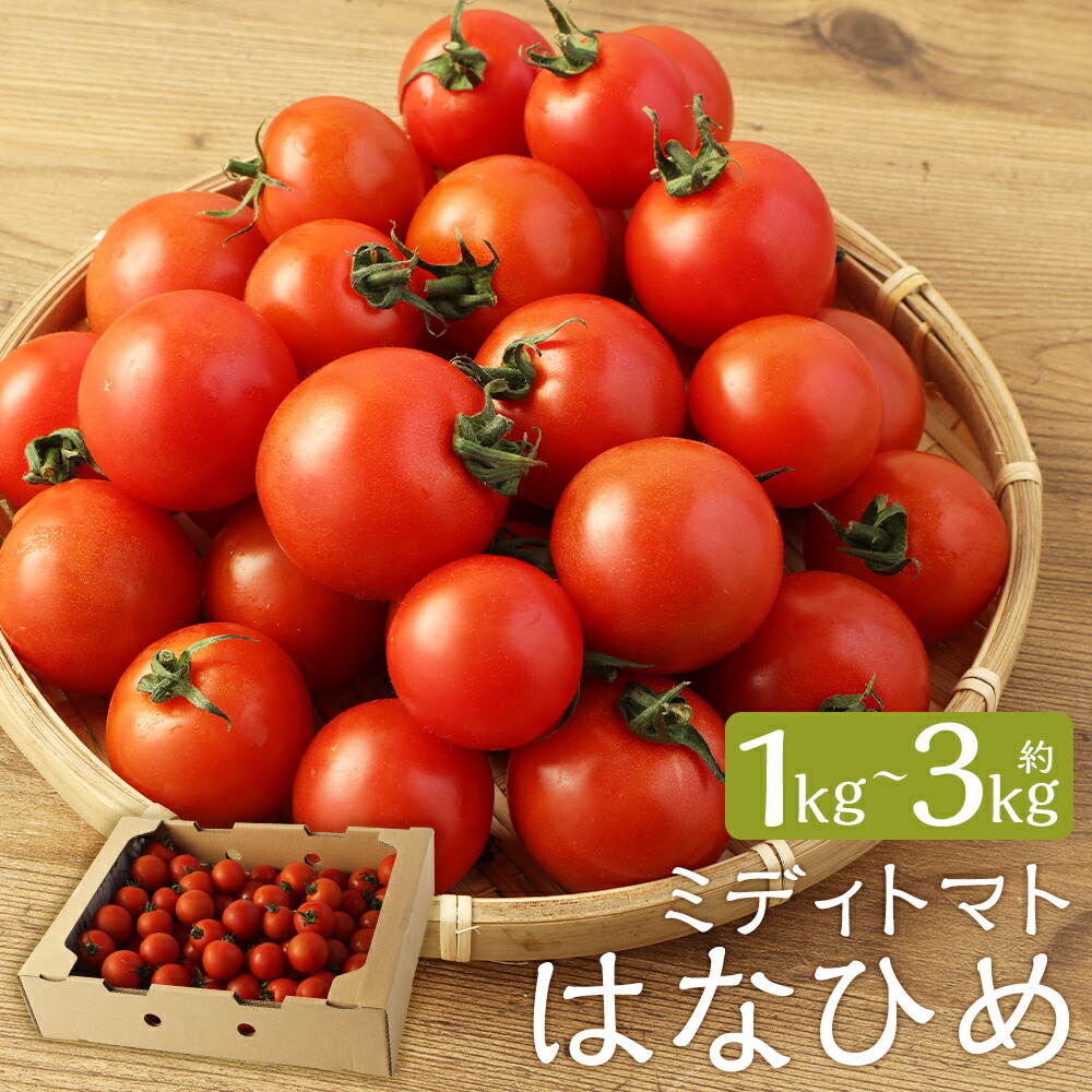 【ふるさと納税】＜選べる内容量＞ミディトマト はなひめ 約1kg / 約2kg / 約3kg 【7月～11月発送不可】 フルティカ 中玉 トマト 野菜 JAオリジナルブランド 福岡県産 九州産 福岡県 筑後市 送料無料｜福岡県筑後市 9,548円