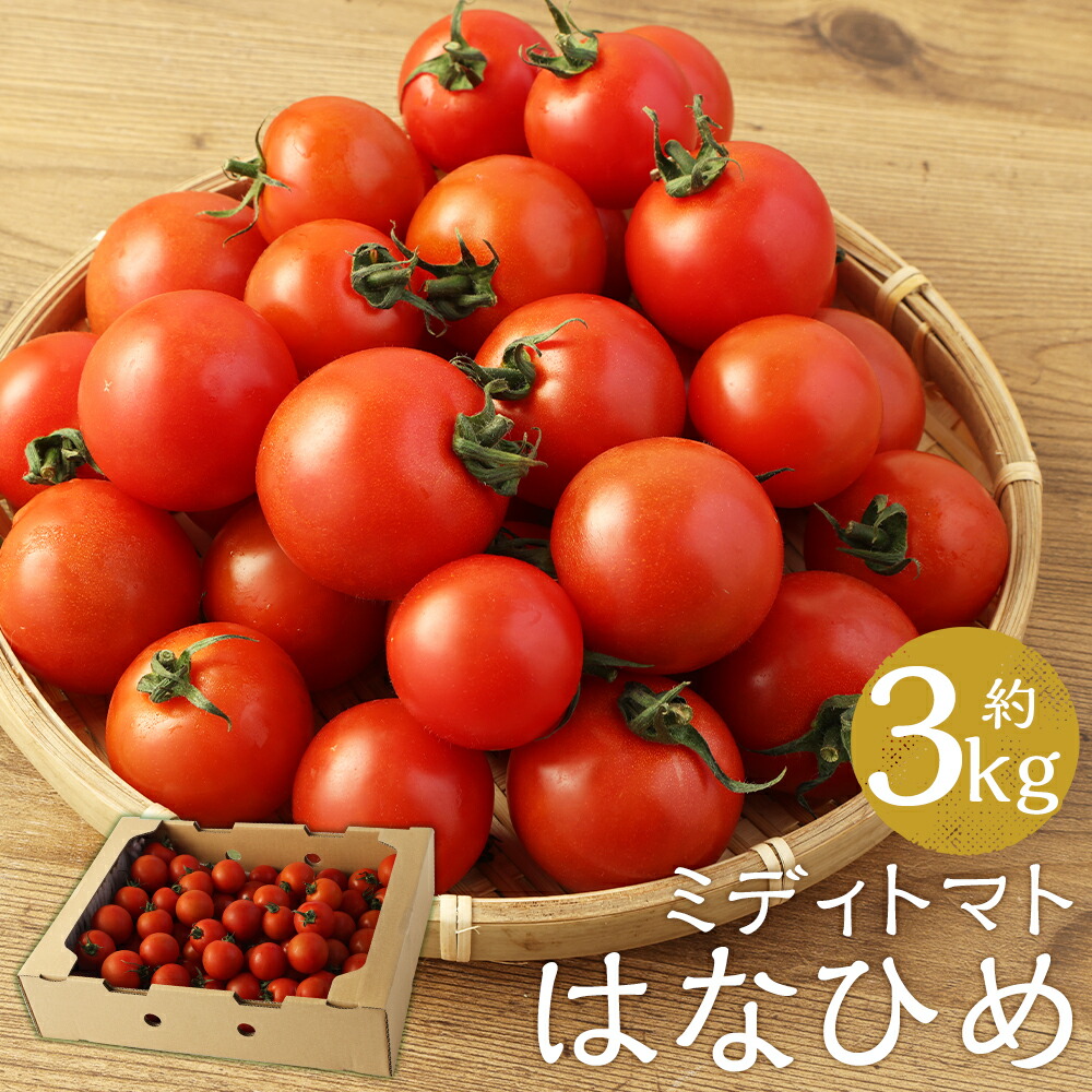 【ふるさと納税】ミディトマト はなひめ 約3kg フルティカ 中玉 トマト 野菜 JAオリジナルブランド 福岡県産 九州産 送料無料
