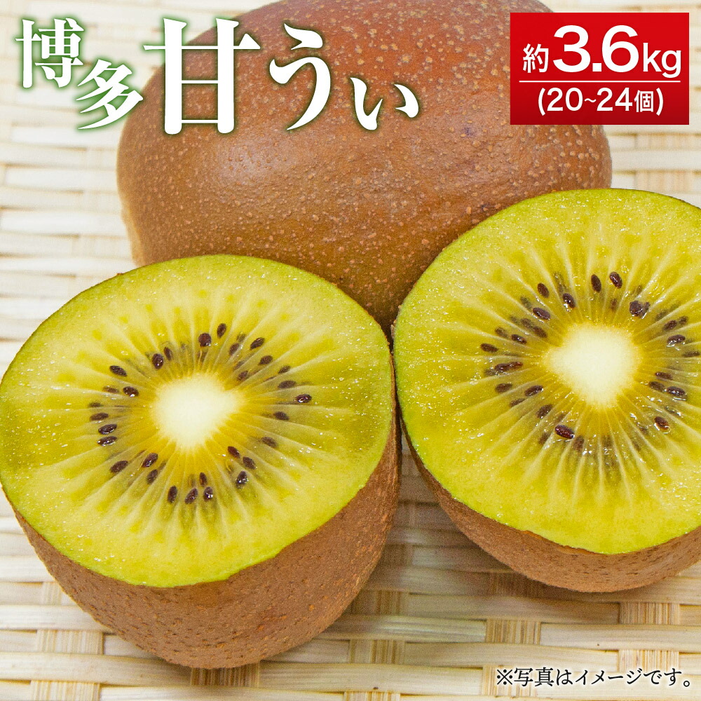 【ふるさと納税】博多甘うぃ 約3.6kg 20～24玉 キウイ フルーツ 果物 福岡ブランド 福岡県産 九州産 国産 送料無料【2025年10月下旬～11月下旬に順次発送予定】