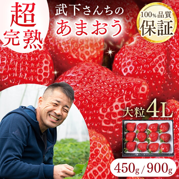【ふるさと納税】【2026年1月～4月出荷分予約販売】産直だからできる超完熟！ 卵より大きい超大粒4Lサイズ！武下さんちの「完熟あまおう」【450g・900g】| あまおう いちご 食べ物 お取り寄せ グルメ ご当地 大川市 甘い イチゴ 苺 高級 フルーツ プレゼント ギフト 贈り物
