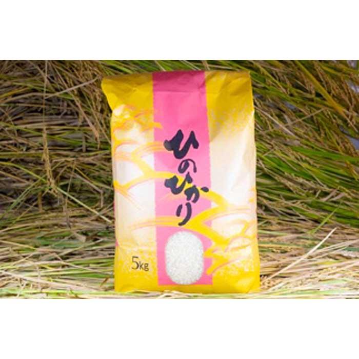 hc7_hinohikari10