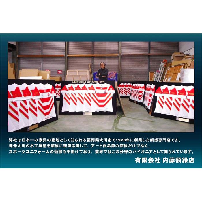 確認のため購入 日本製 叙勲額/フレーム 〔褒賞サイズ(517×367mm)/茶