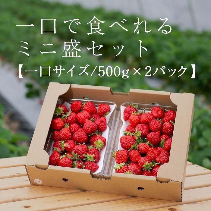 【ふるさと納税】【2026年1月～4月出荷分予約販売】★たっぷり1000g！★ミニサイズの「完熟あまおう」セット | 取り寄せ お取り寄せ グルメ ご当地 あまおう いちご お歳暮 福岡県 イチゴ 苺 itigo 博多あまおう 高級 完熟 フルーツ