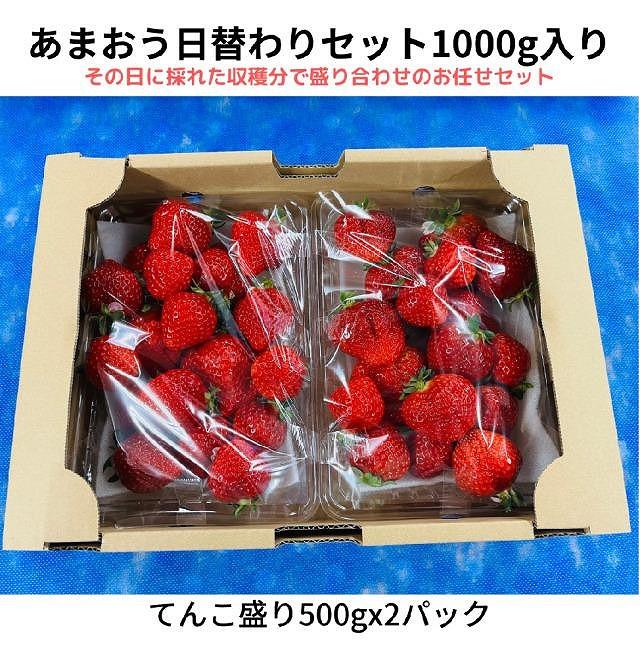 【ふるさと納税】【2026年1月～4月出荷分予約販売】ボリューム満点てんこ盛り500g×2パック！完熟あまおう日替わりセット1000g | 取り寄せ お取り寄せ グルメ ご当地 あまおう いちご お歳暮 福岡県 イチゴ 苺 itigo 博多あまおう 高級 完熟 フルーツ