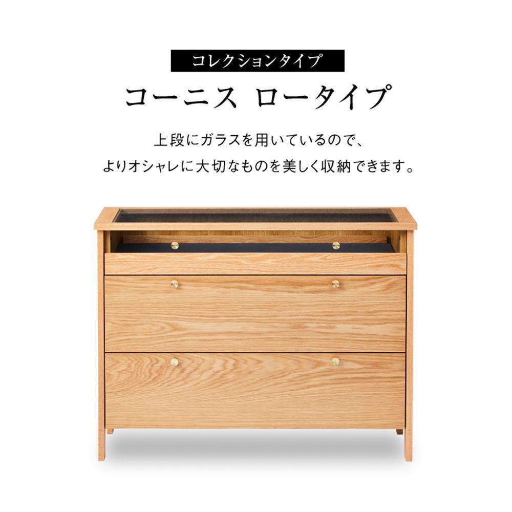 献ずる受け入れ基礎づける書等一揃いについて