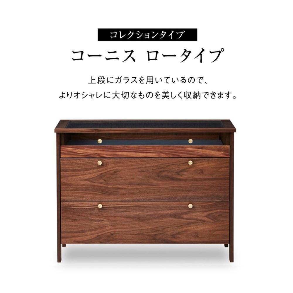 献ずる受け入れ基礎づける書等一揃いについて