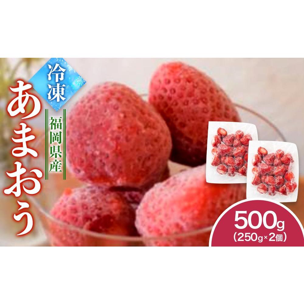 【ふるさと納税】福岡県産　冷凍あまおう500g（250ｇ×2個）