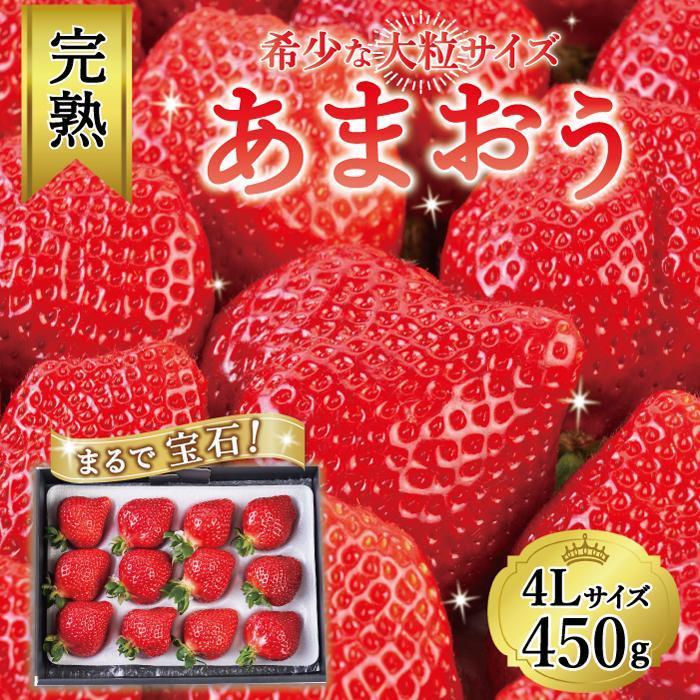【ふるさと納税】【2026年1月～4月出荷分予約販売】 卵より大きい！希少な超大粒4Lサイズ！武下さんちの「完熟あまおう」【450g・900g】| あまおう いちご 食べ物 お取り寄せ グルメ ご当地 大川市 甘い イチゴ 苺 高級 フルーツ プレゼント ギフト 贈り物
