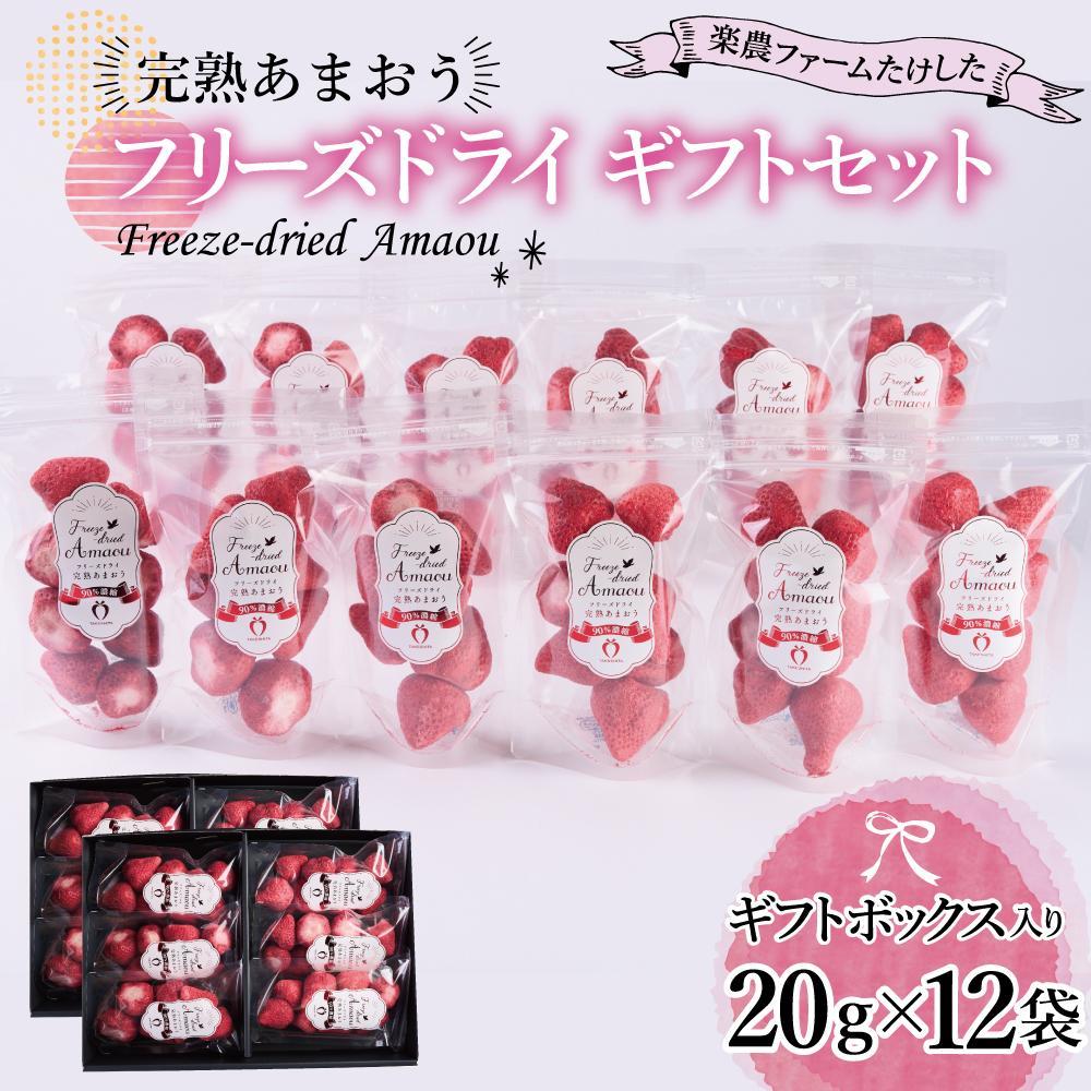 【ふるさと納税】フリーズドライ いちご 完熟 あまおう 丸ごと 苺 小分け ギフト 240g ( 20g × 12袋 ) | 果肉 くだもの フルーツ フルーツ ストロベリー お菓子 菓子 スムージー 朝食 ヨーグルト おやつ イチゴ 製菓材料  グルメ お取り寄せ 福岡県 大川市