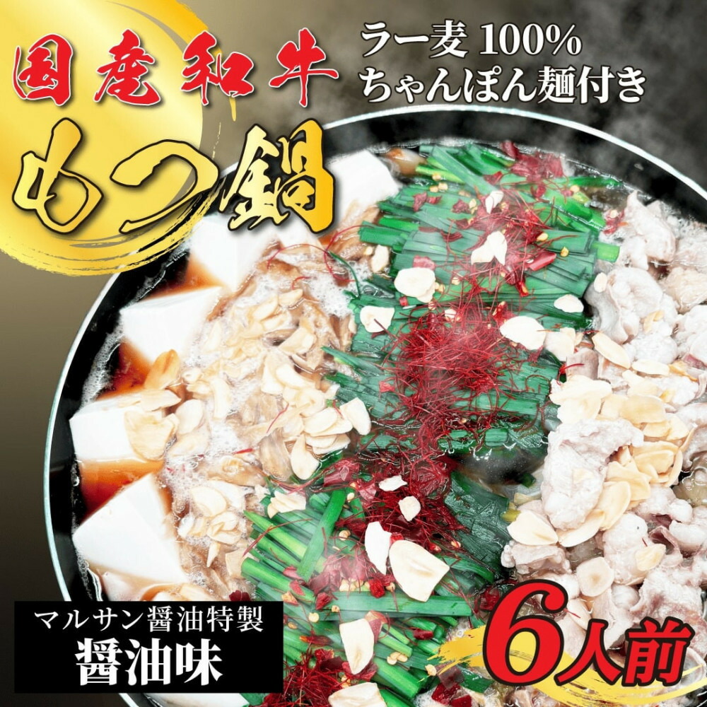 【ふるさと納税】【化粧箱入り】素材にこだわりました！厳選博多牛もつ鍋セット6人前(国産牛もつ使用)