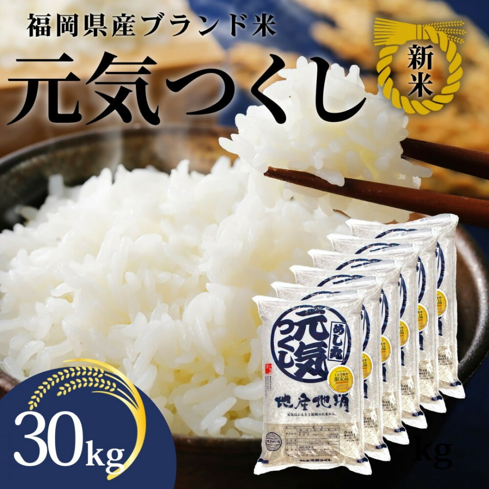 【ふるさと納税】新米!!令和7年産 福岡県産米 元気つくし 合計30kg ( 5kg×6袋 )|福岡県大川市
