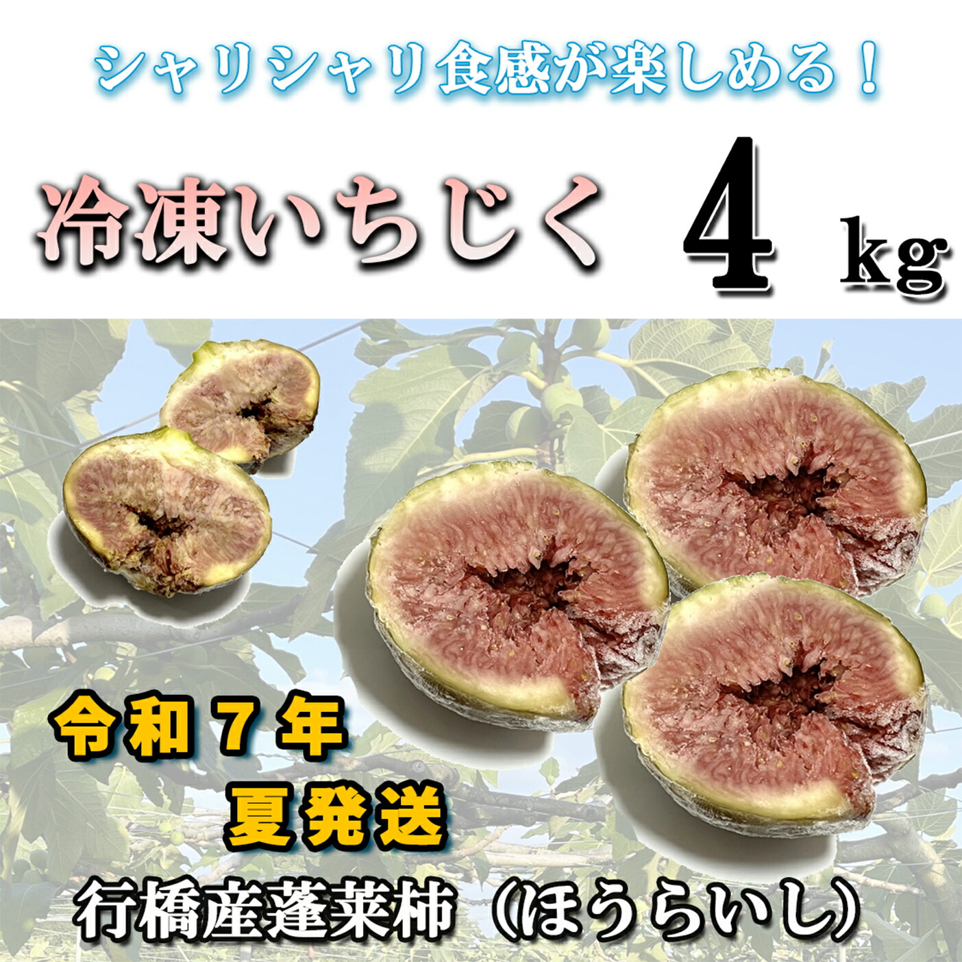 【ふるさと納税】【予約・令和７年夏発送】冷凍いちじく4kg_AO-012