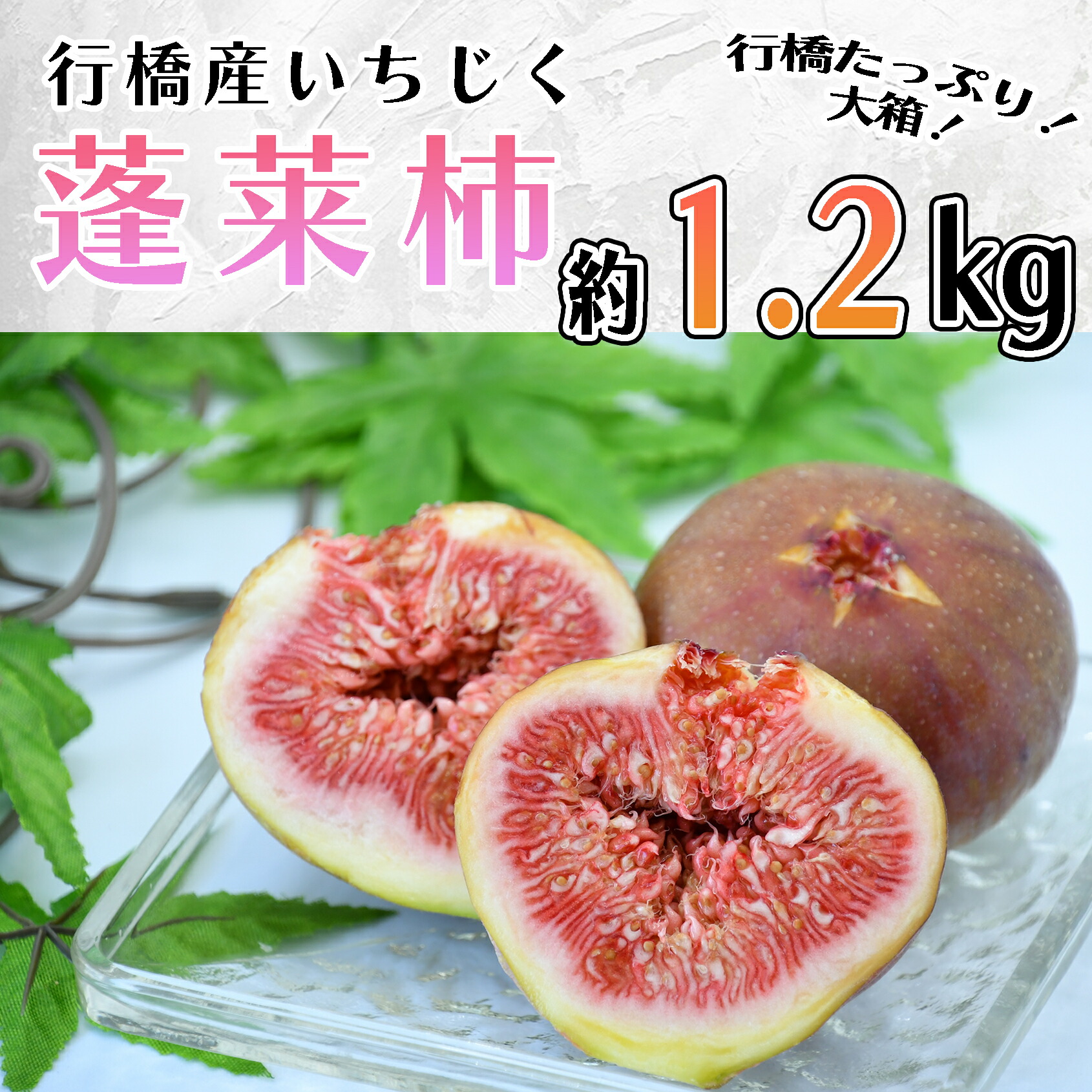 【ふるさと納税】【予約・令和７年夏発送】行橋産いちじく（蓬莱柿） 箱大 約 1.2kg_AO-015