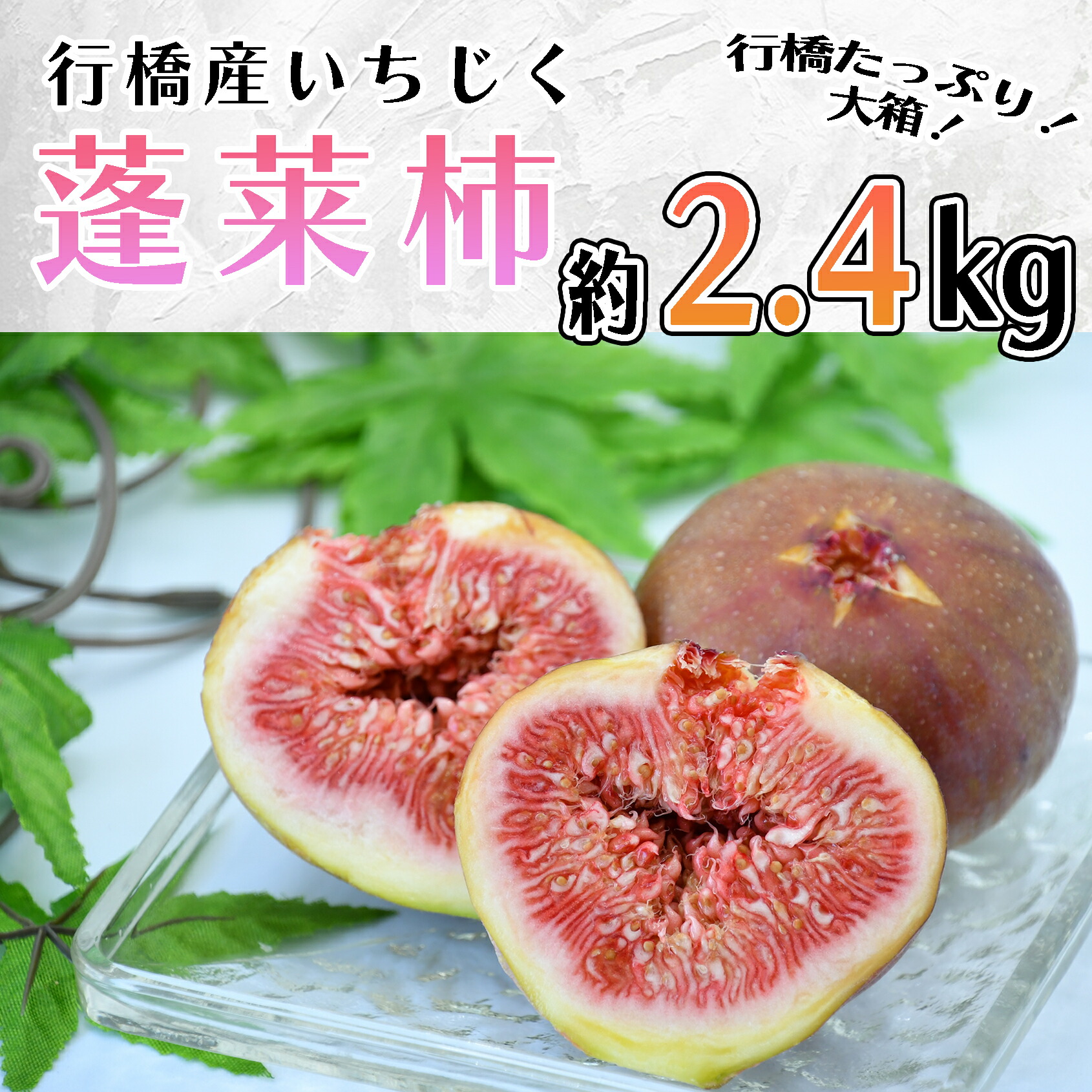 【ふるさと納税】【予約・令和７年夏発送】行橋産いちじく（蓬莱柿）約2.4kg （箱大 約 1.2kg ×2箱）_AO-024