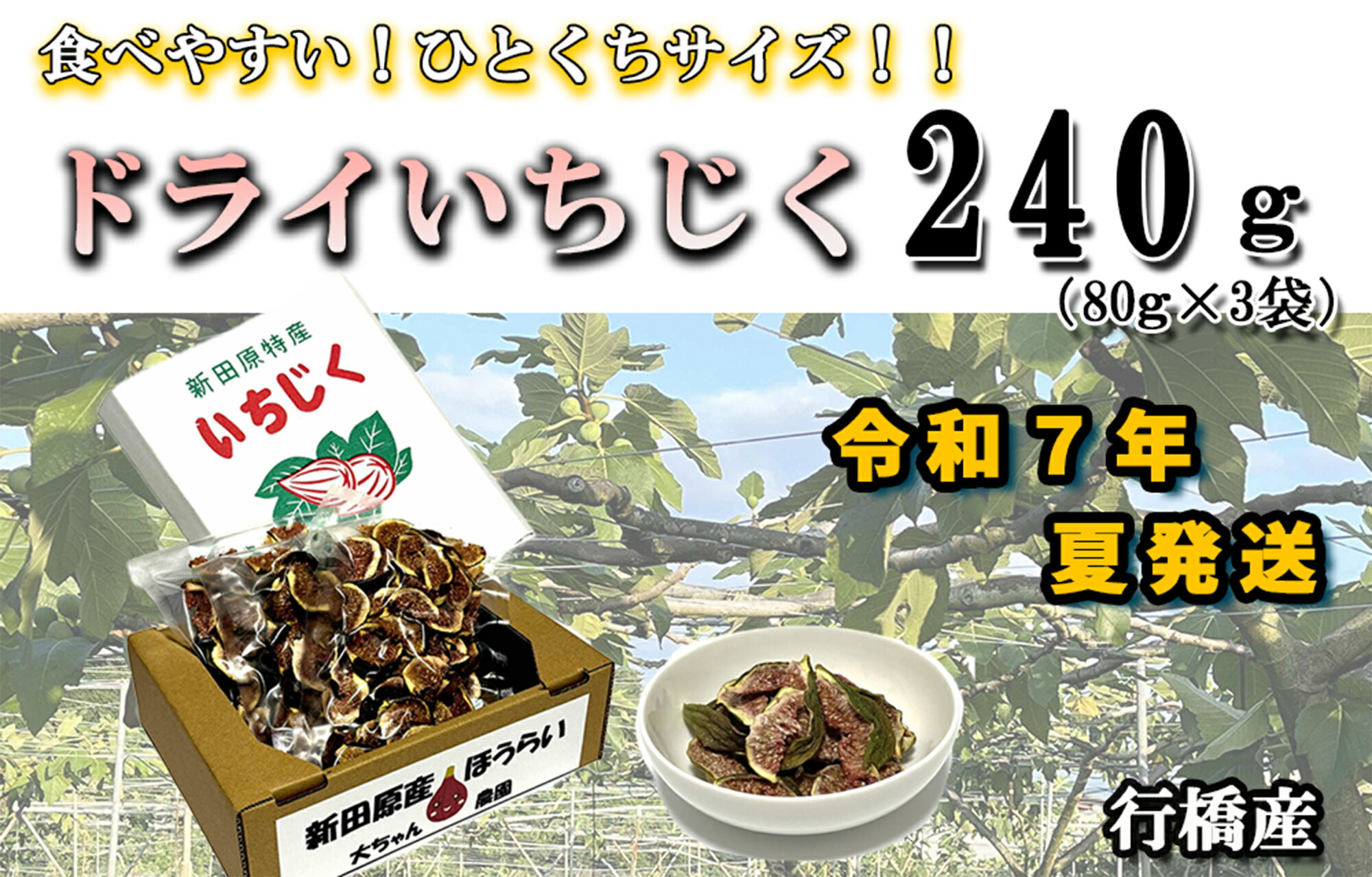 【ふるさと納税】【予約・令和７年夏発送】乾燥蓬莱いちじく240ｇ（80g×3袋）_AO-022