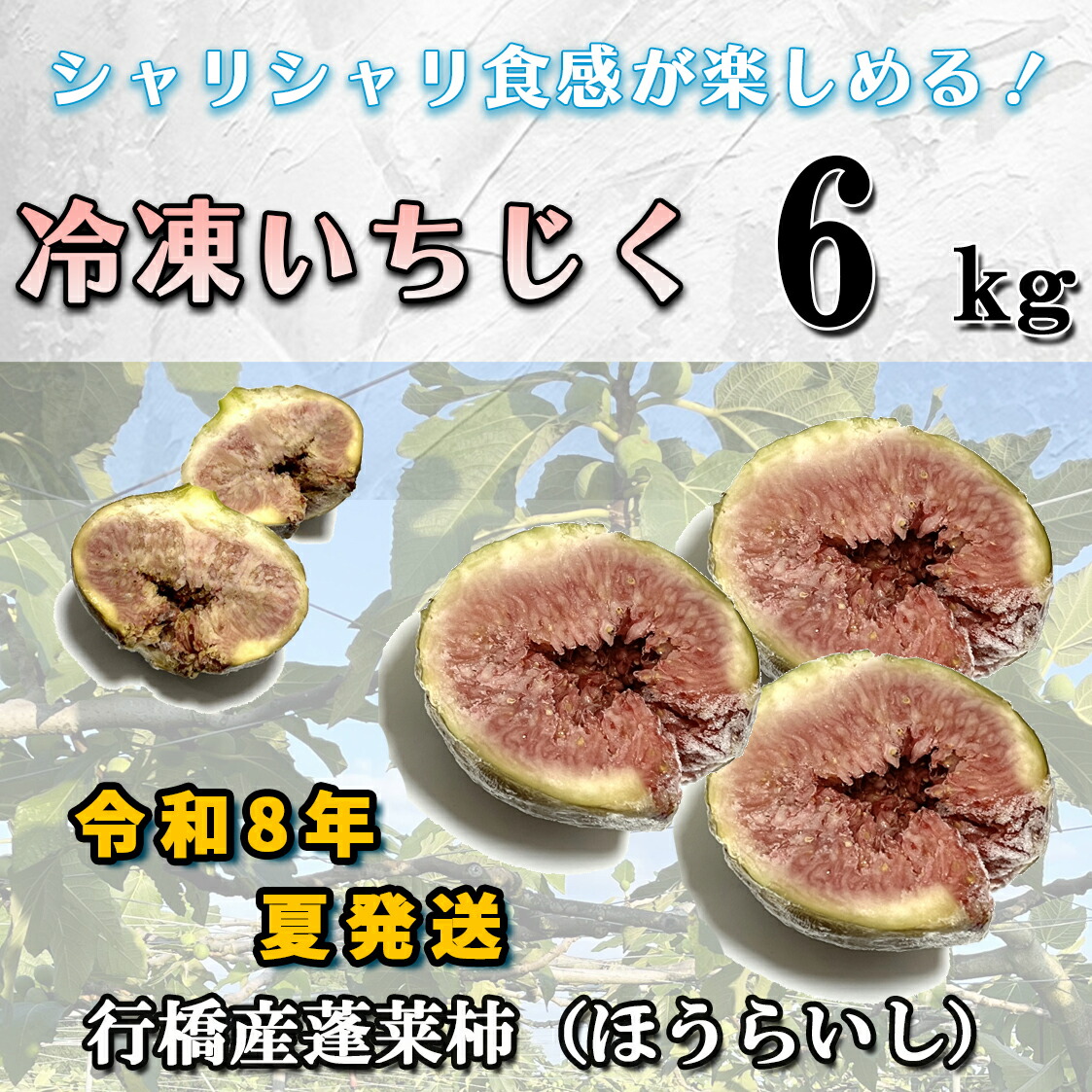 【ふるさと納税】【予約・令和８年夏発送】冷凍いちじく6kg_AO-023