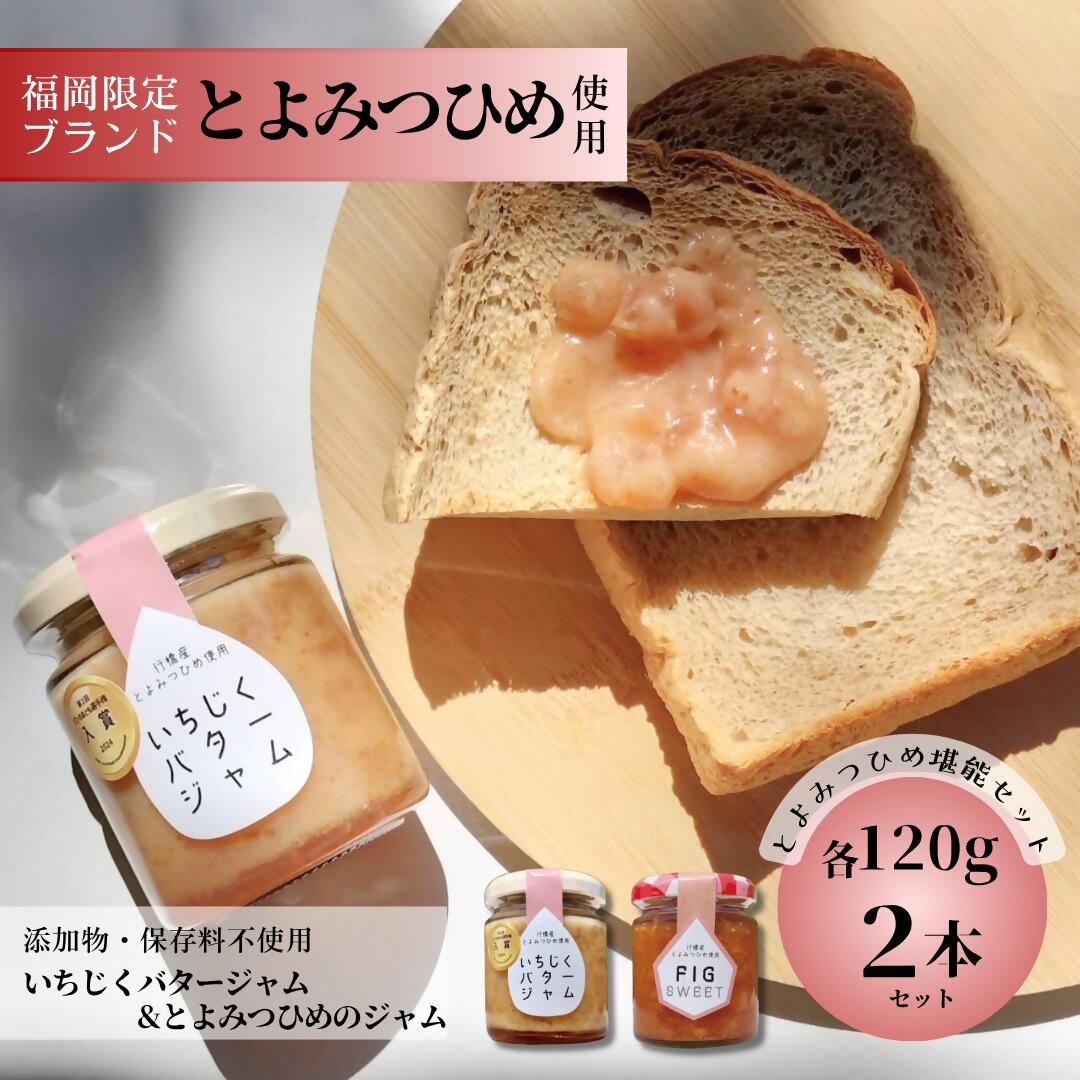 【ふるさと納税】行橋産とよみつひめ使用【とよみつひめ堪能セット】いちじくバタージャム＆とよみつひめのジャム　各120g×2本_DD-011