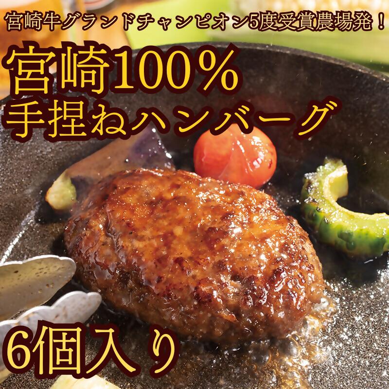 【ふるさと納税】宮崎牛100％手捏ねハンバーグ　～宮崎牛グランドチャンピオン5度受賞農場発！_DI-001