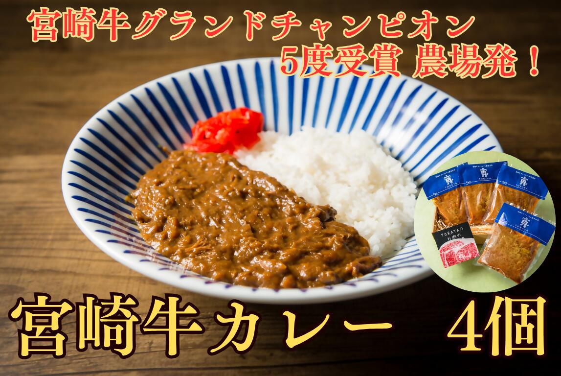 【ふるさと納税】宮崎牛カレー　～宮崎牛グランドチャンピオン5度受賞農場発！_DI-002