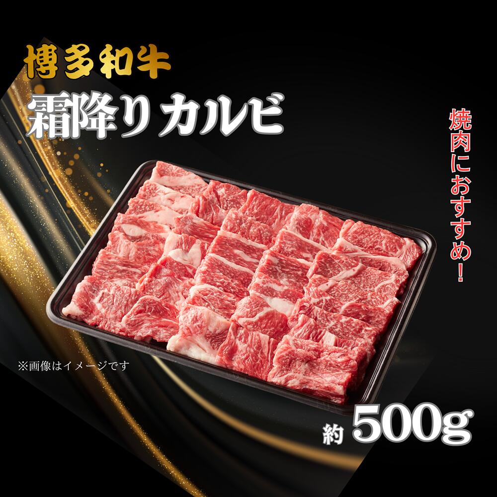【ふるさと納税】博多和牛　霜降りカルビ　約500g_DK-017｜福岡県行橋市