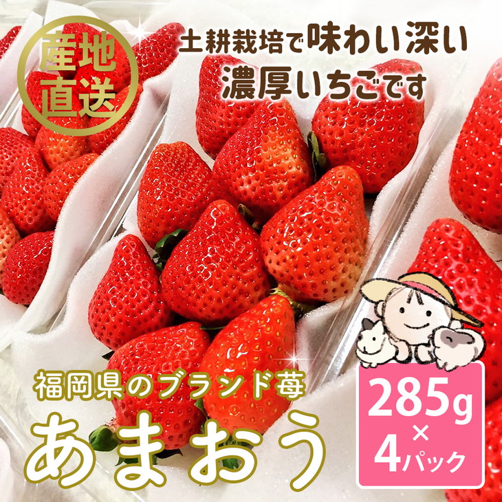 みのキャン 福岡県産あまおう285g 4p 約1 140g 23年1月下旬 4月中旬頃に順次発送予定土耕栽培で甘く美味しい 濃厚なブランド いちごです 甘い香りと 贅沢な味わいをぜひお楽しみください 福 でもお Shineray Com Br