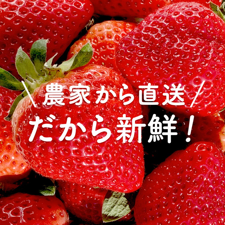 セール開催中最短即日発送 福岡県産あまおう285g×4P 約1 140g ※2023年1月下旬〜4月中旬頃に順次発送予定土耕栽培で甘く美味しい  濃厚なブランドいちごです 甘い香りと 贅沢な味わいをぜひお楽しみください fucoa.cl