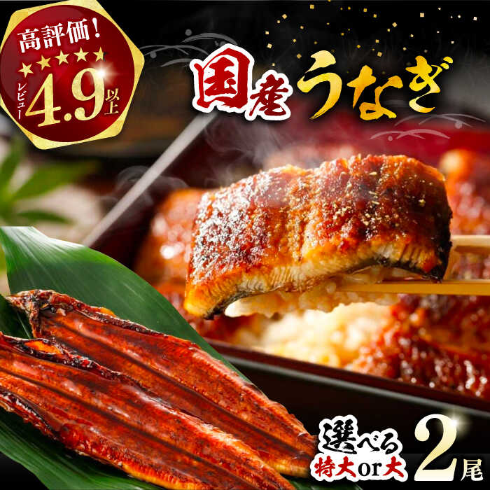 【ふるさと納税】【選べるサイズ】国産 うなぎ 蒲焼 2尾 （特大：計440g / 大：計320g）《豊前市》【福岡養鰻】 国産 うなぎ 特大 お祝い プレゼント ギフト 贈答 福岡産 惣菜  [VAD001]