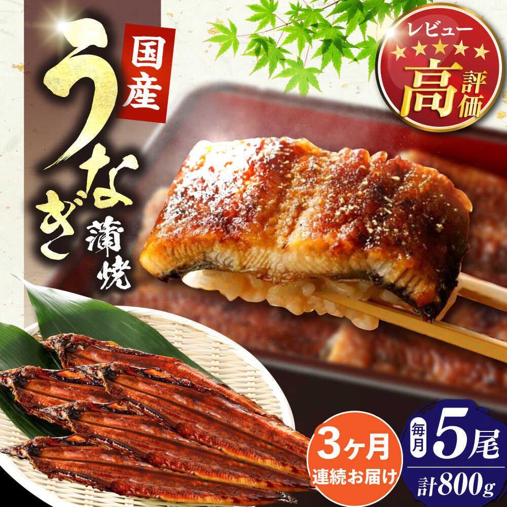 【ふるさと納税】【全3回定期便】福岡県産 うなぎ 蒲焼 大5尾 合計 800g（1尾あたり 160g以上）《豊前市》【福岡養鰻】[VAD017] 蒲焼 ウナギ お祝い プレゼント 贈答 ギフト 国産うなぎ 国産鰻 人気 おすすめ 福岡産 の商品写真