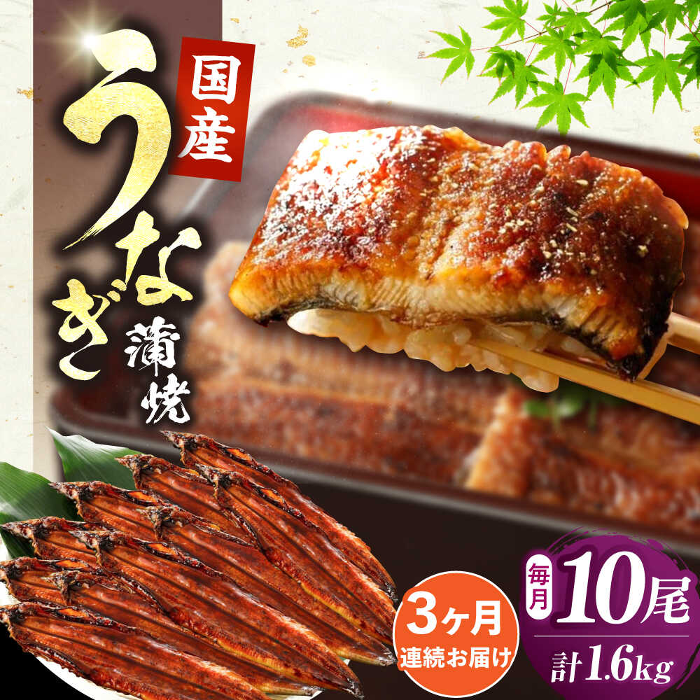 【ふるさと納税】【全3回定期便】福岡県産 うなぎ 蒲焼 大 10尾 計1600g（1尾あたり 160g以上）《豊前市》【福岡養鰻】[VAD027] 蒲焼 ウナギ お祝い プレゼント 贈答 ギフト 国産うなぎ 国産鰻 人気 おすすめ 福岡産