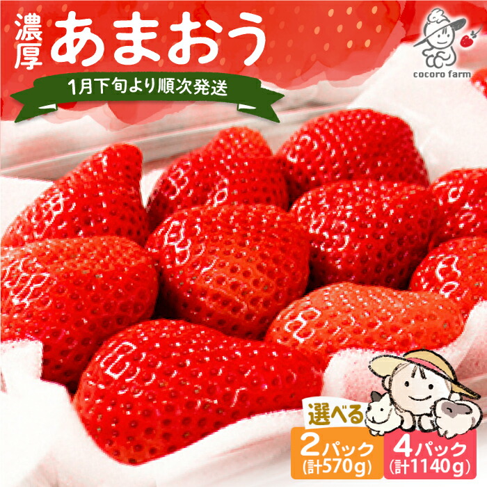【ふるさと納税】【先行予約】【2026年1月下旬～4月中旬発送】ココロファームの濃厚あまおう 2パック / 4パック (選べる個数)《豊前市》【ココロファーム】[VAE007] 苺 いちご あまおう 福岡県産 【※北海度・沖縄および離島への配送不可】