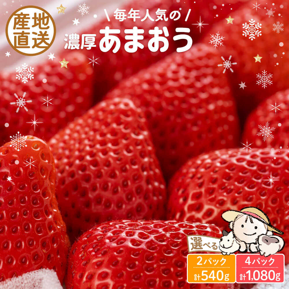 【ふるさと納税】【先行予約】あまおう 540g 1080g 2パック 4パック ココロファームの濃厚あまおう【2026年12月中旬～翌4月上旬発送】《豊前市》【ココロファーム】[VAE009] 苺 いちご あまおう 福岡県産 8,880円