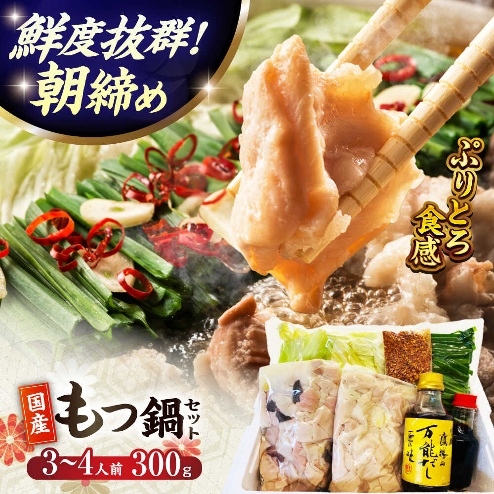 【ふるさと納税】鷹勝 和風もつ鍋セット（３～４人前）300g 【株式会社鷹勝カレント】 《豊前市》 熊本産 博多 国産 牛もつ鍋 モツ ホルモン 九州 グルメ[VAK015]