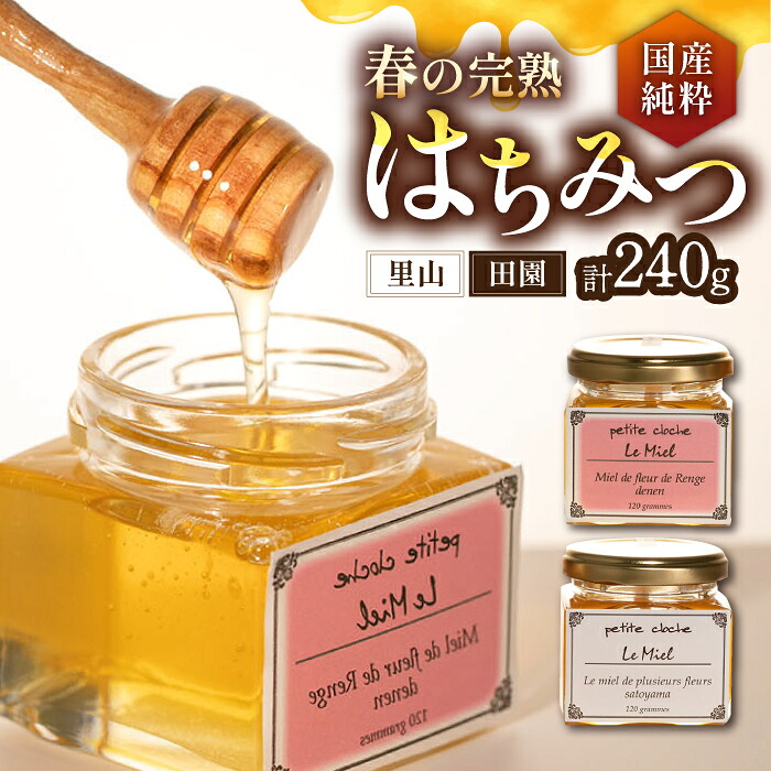 【ふるさと納税】春の完熟 はちみつ 里山 120g ＆ 田園 120g《豊前市》【須田養蜂場】[VAR004] 蜂蜜 ハチミツ 蜜 国産 非加熱 純粋 瓶詰め 天然 ギフト 11000 11000円｜福岡県豊前市