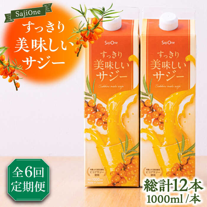 【ふるさと納税】【全6回定期便】美味しいサジーが毎月届く！すっきり美味しいサジー（2本）《豊前市》【ハウスボトラーズ】 [VAX039][VAX039]