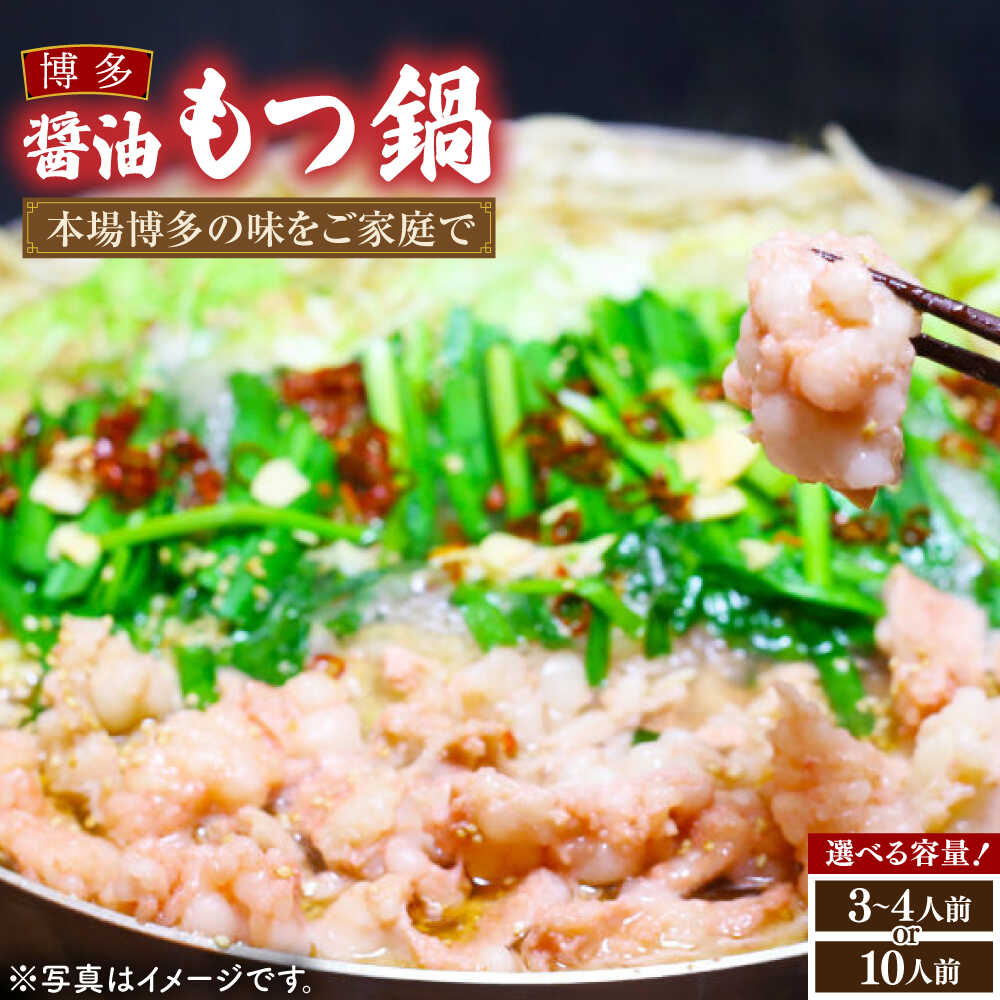 【ふるさと納税】【総合ランキング１位】博多 醤油 もつ鍋 セット 3～4人前/10人前《豊前市》【MEAT PLUS】 もつ鍋 もつ 醤油 博多 福岡 [VBB033] 7,300円