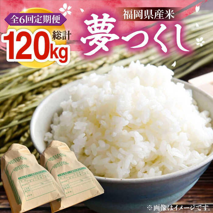 【ふるさと納税】【全6回定期便】【R8年産】 新米 福岡県産 夢つくし 20kg ( 10kg &times;2袋)《豊前市》【湯越農園】[VBC015] 令和8年 先行予約 米 お米 精米 白米 ブランド米 国産 ごはん ご飯 単一原料米 こめ コスパ おすすめ ゆめつくし 10キロ 20キロ 定期便 6回 252000円｜福岡県豊前市