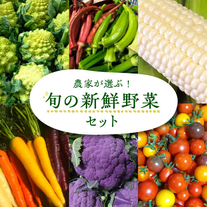 【ふるさと納税】農家が選ぶ！ 旬の新鮮野菜セット《豊前市》【田村農産】産直 野菜 やさい 詰め合わせ[VBE002] 15000 15000円