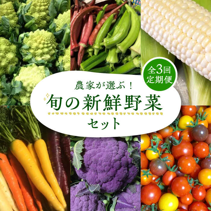 【ふるさと納税】【全3回定期便】農家が選ぶ！ 旬の新鮮野菜セット《豊前市》【田村農産】産直 野菜 やさい 詰め合わせ[VBE008] 44000 44000円