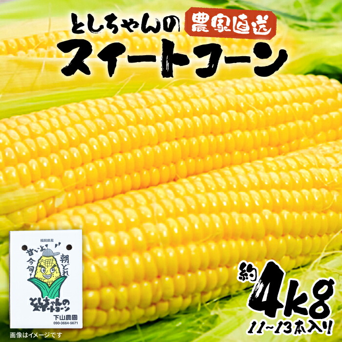 【ふるさと納税】【2025年6月以降出荷分予約】下山農園 としちゃんの 農家直送 スイートコーン 約4kg（11～13本入り）《豊前市》【下山農園】とうもろこし 野菜 BBQ [VBH001] 12000 12000円