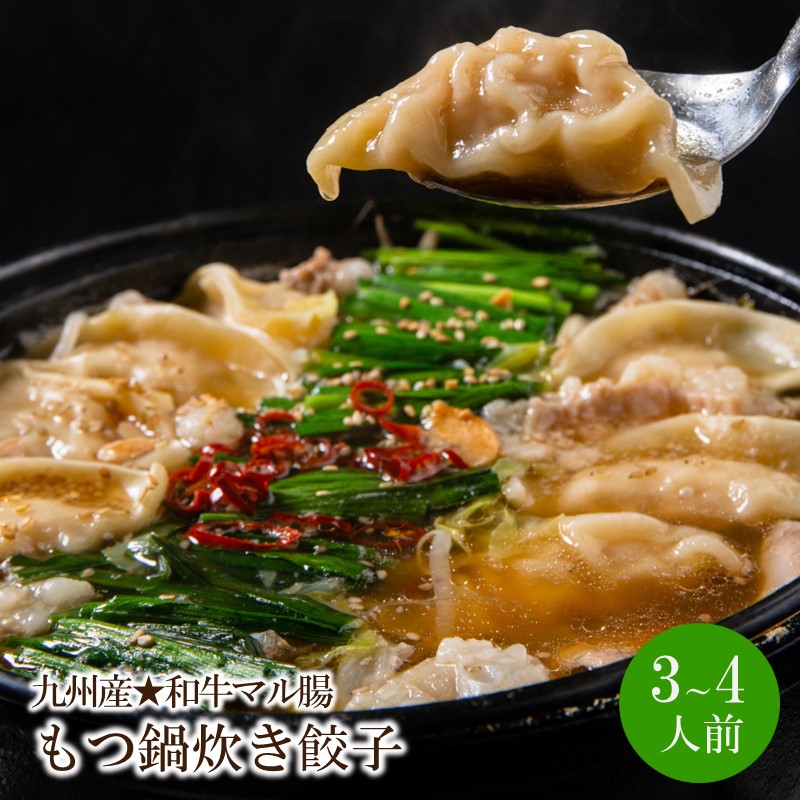【ふるさと納税】ぶどうの樹　九州産★和牛マル腸　もつ鍋（炊き餃子付き）あごだし醤油 （3～4人前）【066-0001】