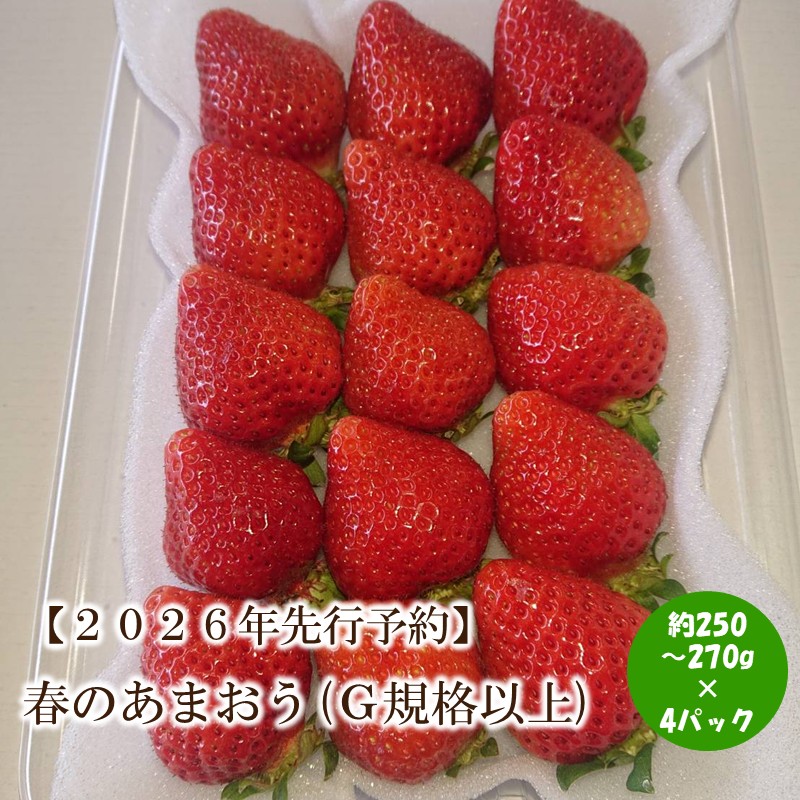 【ふるさと納税】【2026年先行予約】春のあまおう(G規格以上4パック)【044-0064】