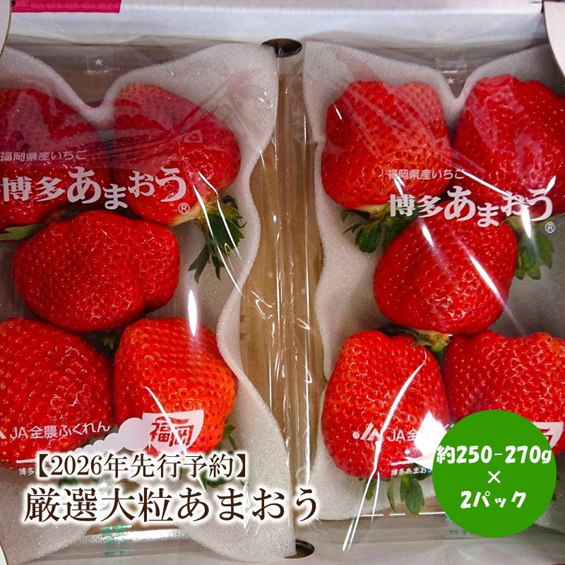 【ふるさと納税】【2026年先行予約】厳選大粒あまおう(約250-270gx2パック)【044-0070】