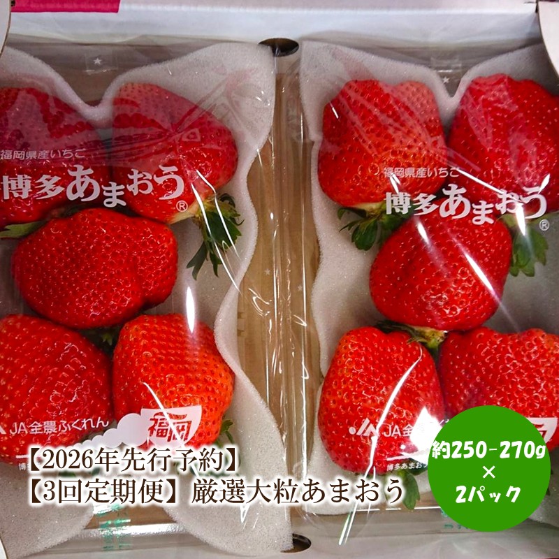 【ふるさと納税】【2026年先行予約】【3回定期便】厳選大粒あまおう(約250-270gx2パック)【044-0071】