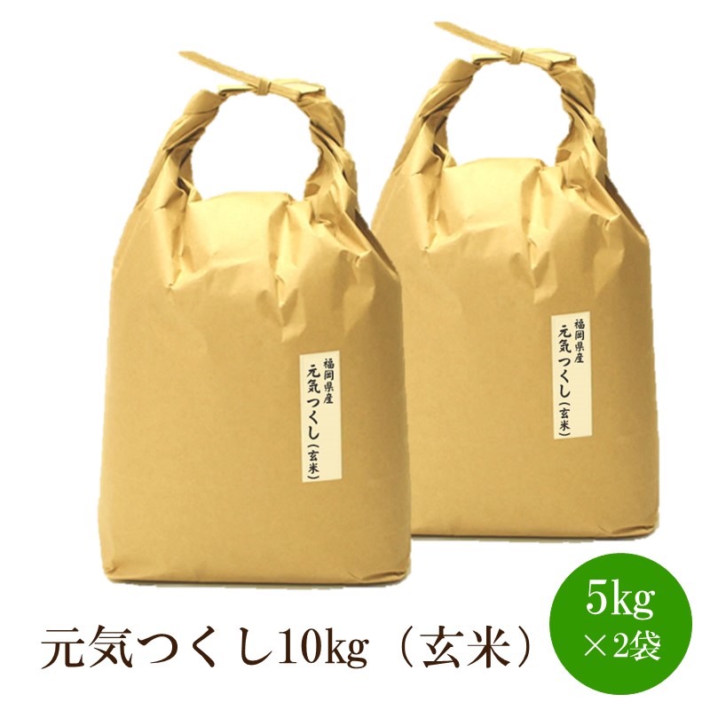 【ふるさと納税】福岡県産【特A】評価のお米「元気つくし」5kg&times;2袋[10kg][玄米]【059-0068】｜福岡県中間市
