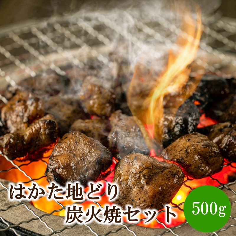 【ふるさと納税】はかた地どり炭火焼セット500g(100g×5p)【014-0050】